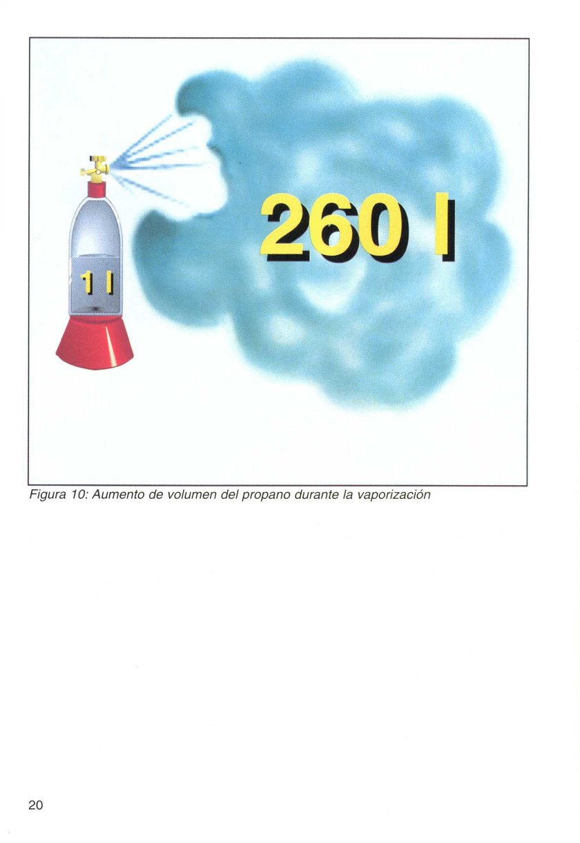 prgases (15)